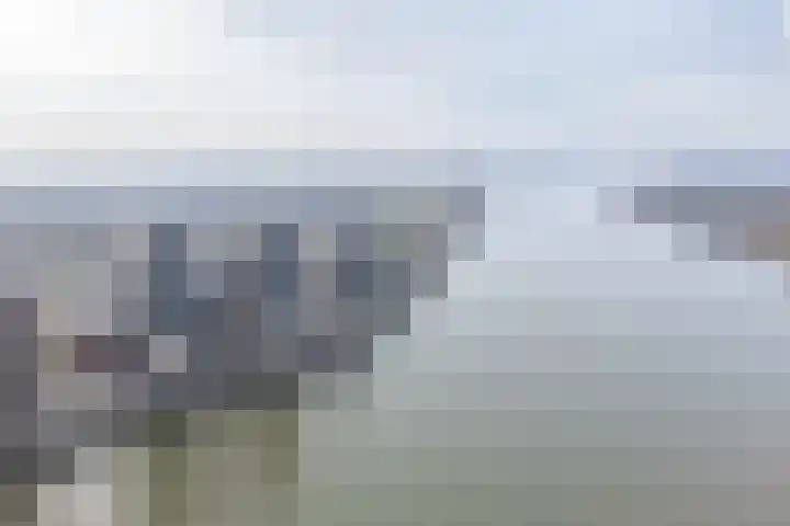 Drierivierenlaan 285 Ridderkerk thumbnail 9
