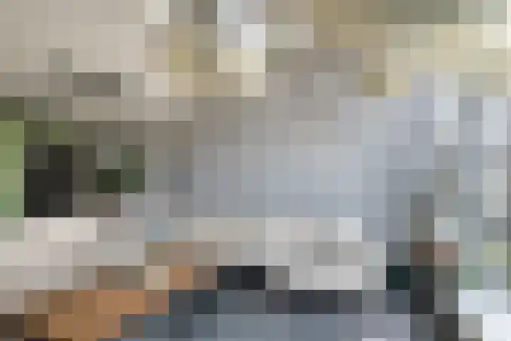 Drierivierenlaan 33 Ridderkerk thumbnail 12