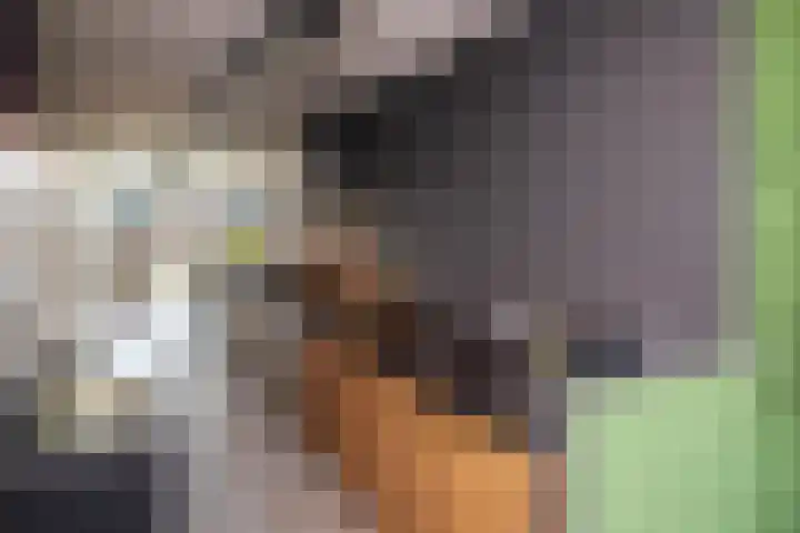 Drierivierenlaan 33 Ridderkerk thumbnail 13