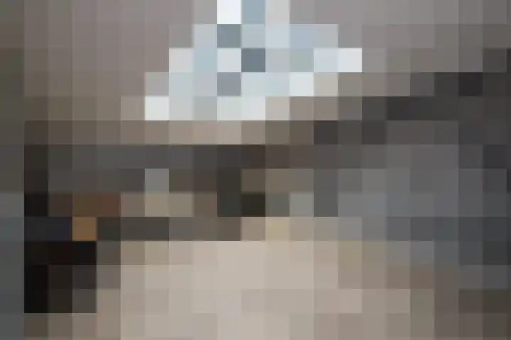 Drierivierenlaan 33 Ridderkerk thumbnail 21