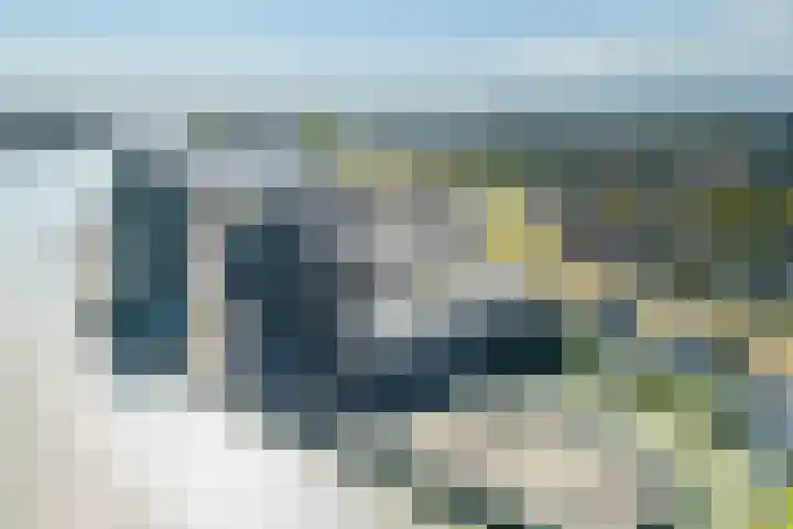 Drierivierenlaan 33 Ridderkerk thumbnail 33