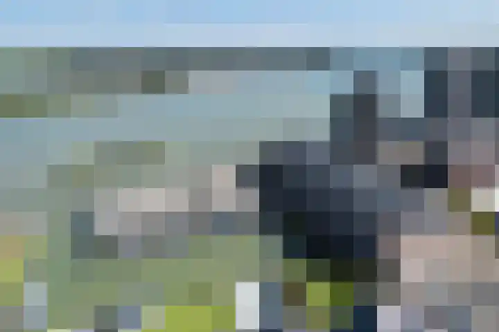 Drierivierenlaan 33 Ridderkerk thumbnail 34