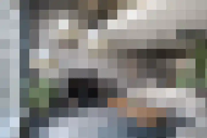 Drierivierenlaan 33 Ridderkerk thumbnail 4