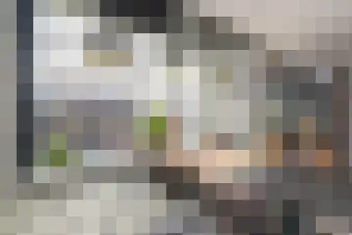 Drierivierenlaan 33 Ridderkerk thumbnail 7