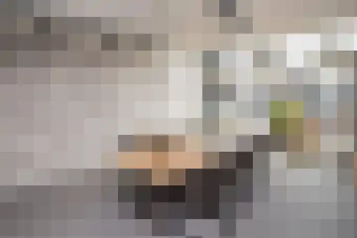 Drierivierenlaan 33 Ridderkerk thumbnail 8