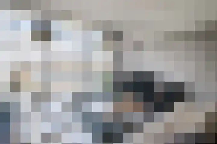 Drierivierenlaan 33 Ridderkerk thumbnail 9