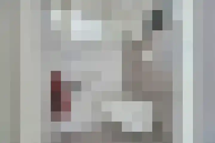 Drierivierenlaan 335 Ridderkerk thumbnail 8
