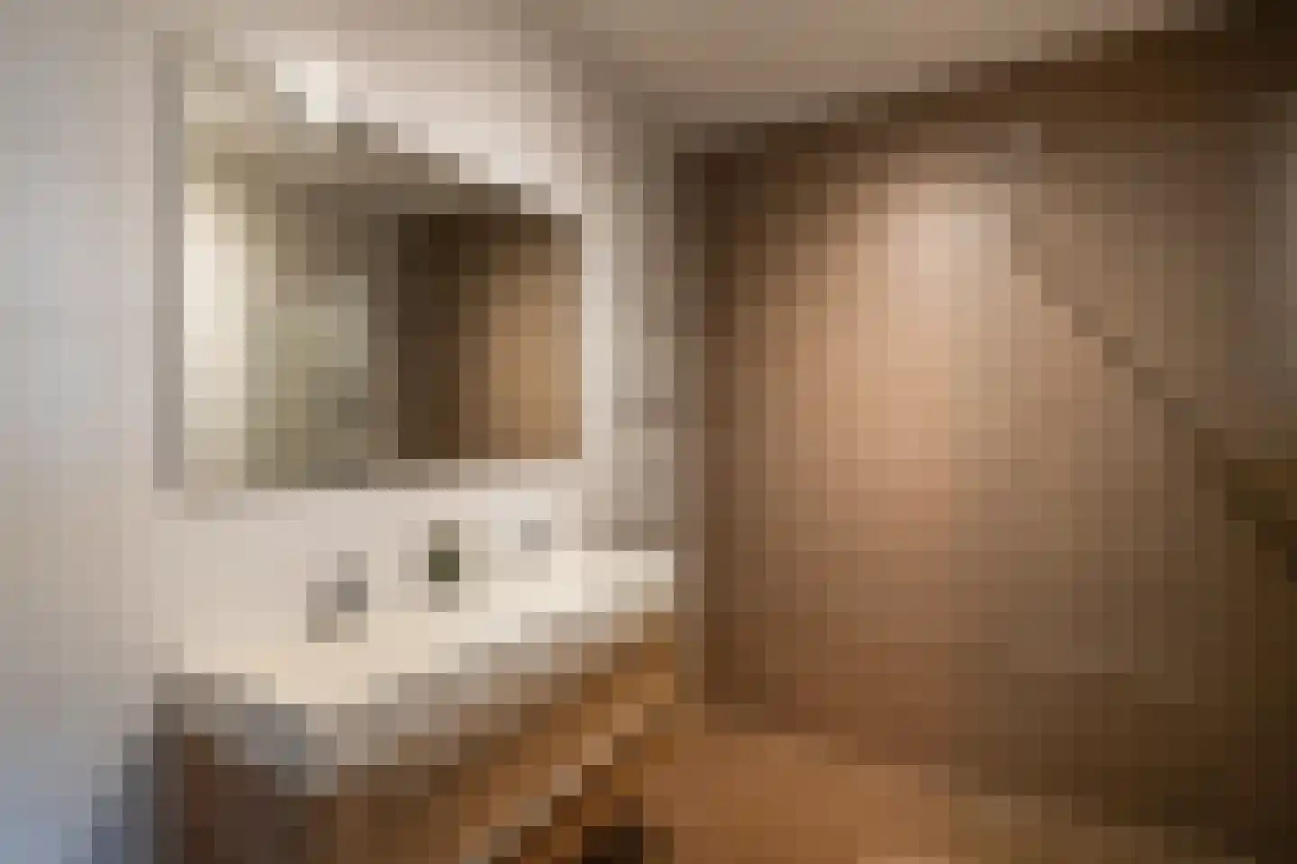 Drierivierenlaan 34 Ridderkerk thumbnail 19