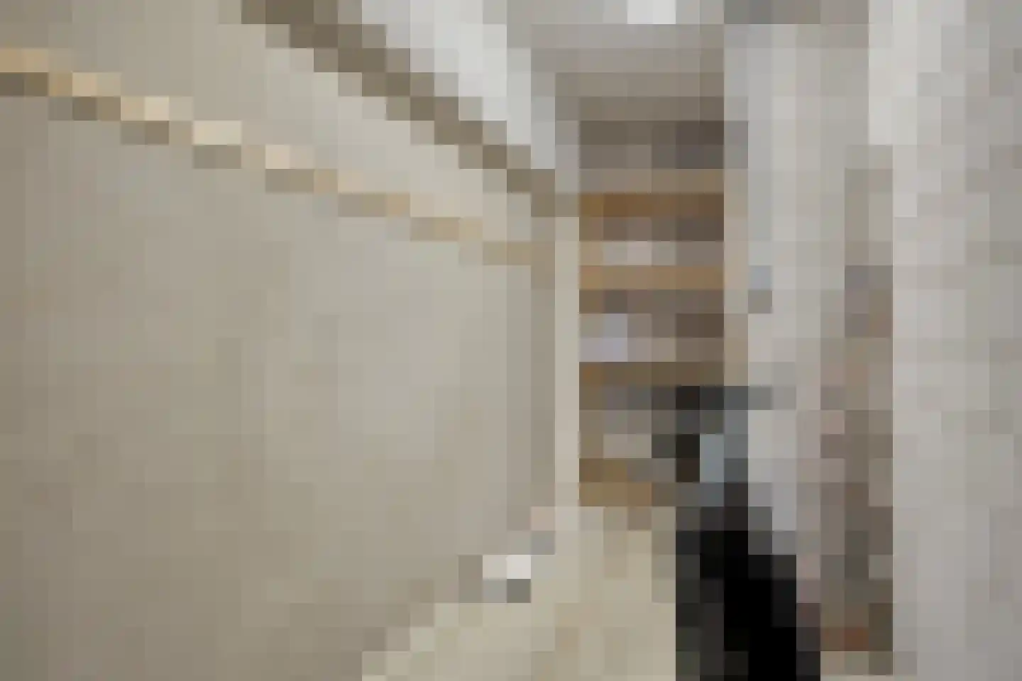 Drierivierenlaan 34 Ridderkerk thumbnail 35