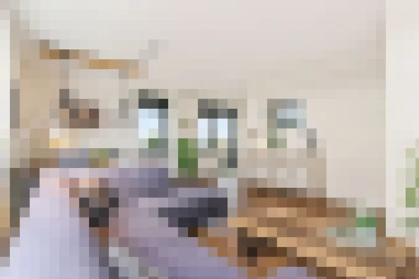 Drierivierenlaan 347 Ridderkerk thumbnail 20