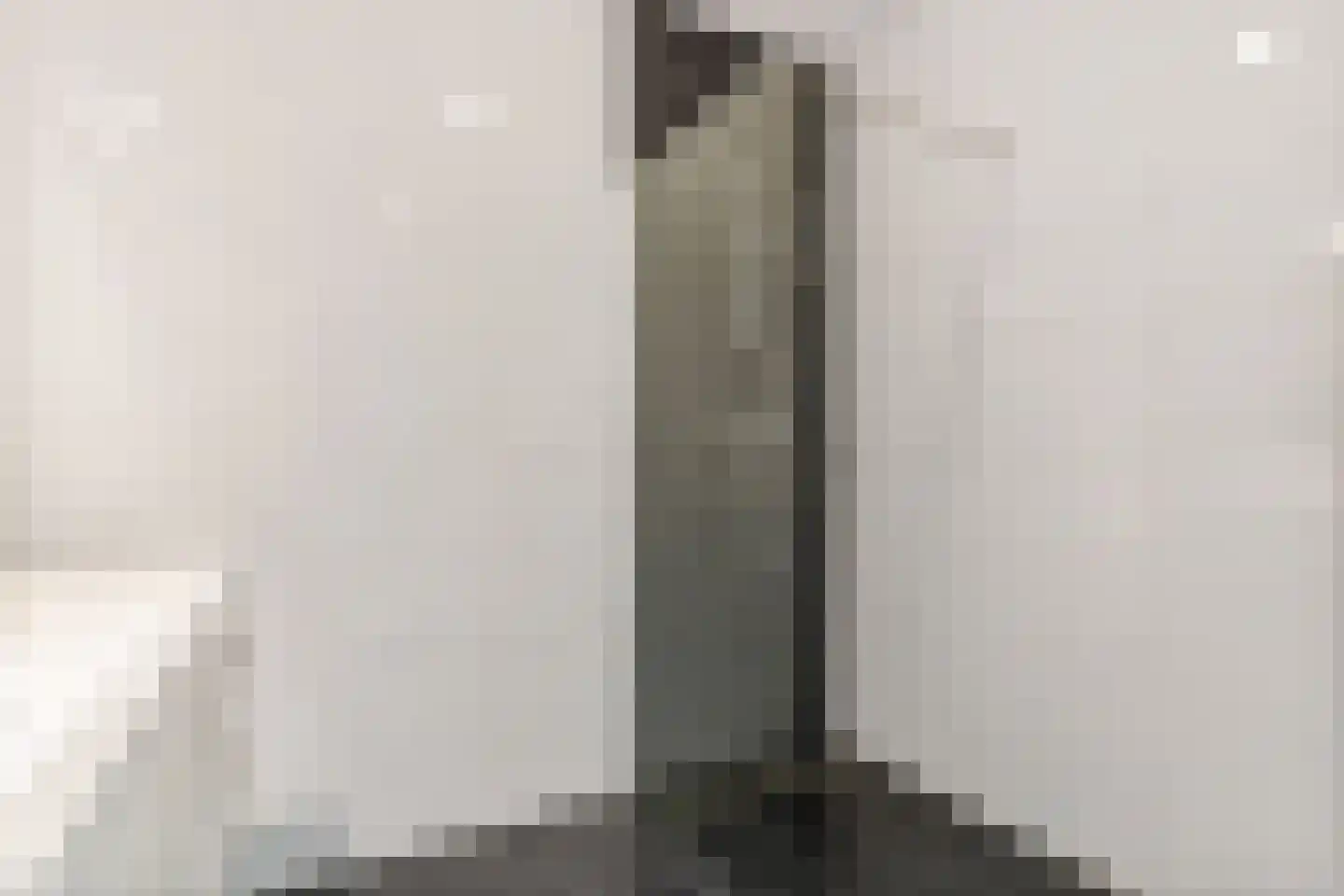 Drierivierenlaan 347 Ridderkerk thumbnail 23