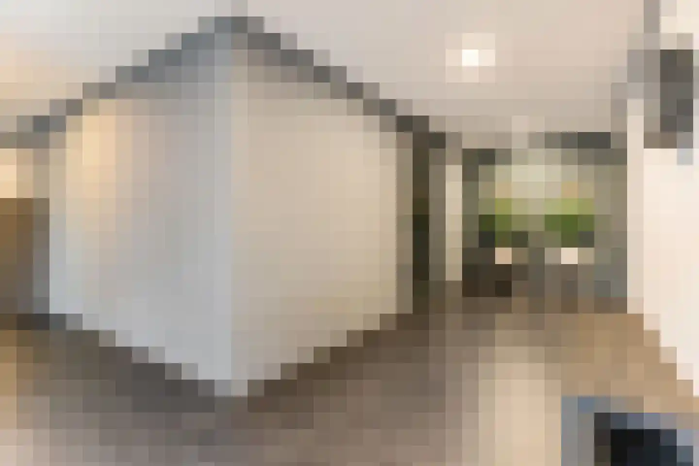 Drierivierenlaan 347 Ridderkerk thumbnail 33