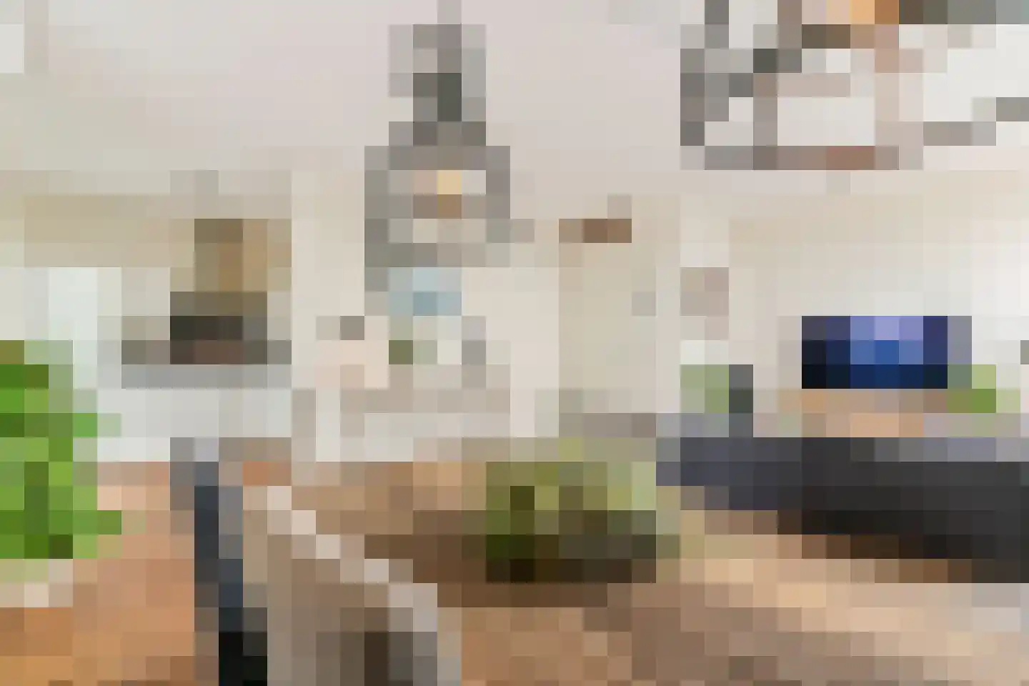 Drierivierenlaan 347 Ridderkerk thumbnail 5