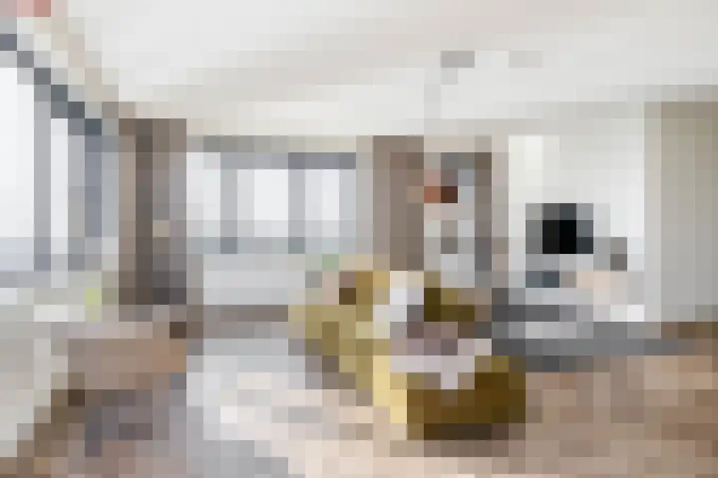 Drierivierenlaan 351 Ridderkerk thumbnail 16