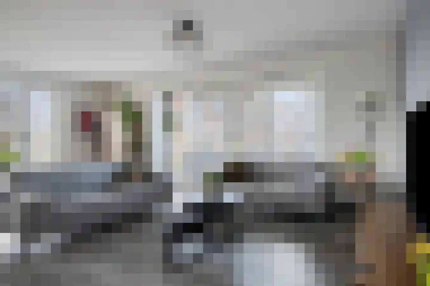 Drierivierenlaan 357 Ridderkerk thumbnail 11