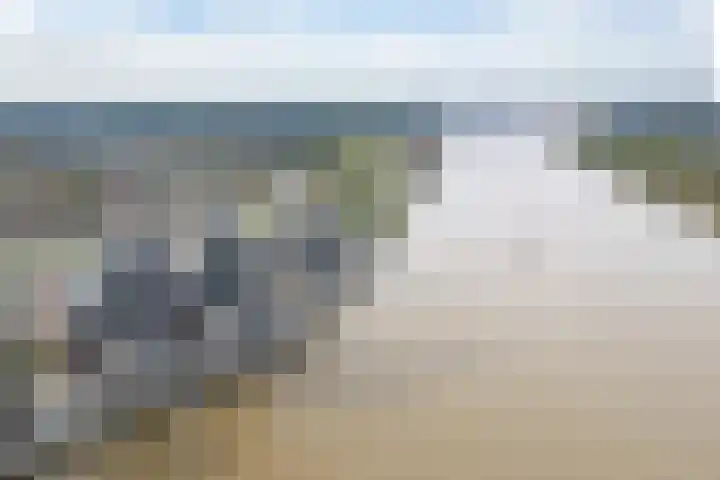 Drierivierenlaan 385 Ridderkerk thumbnail 35