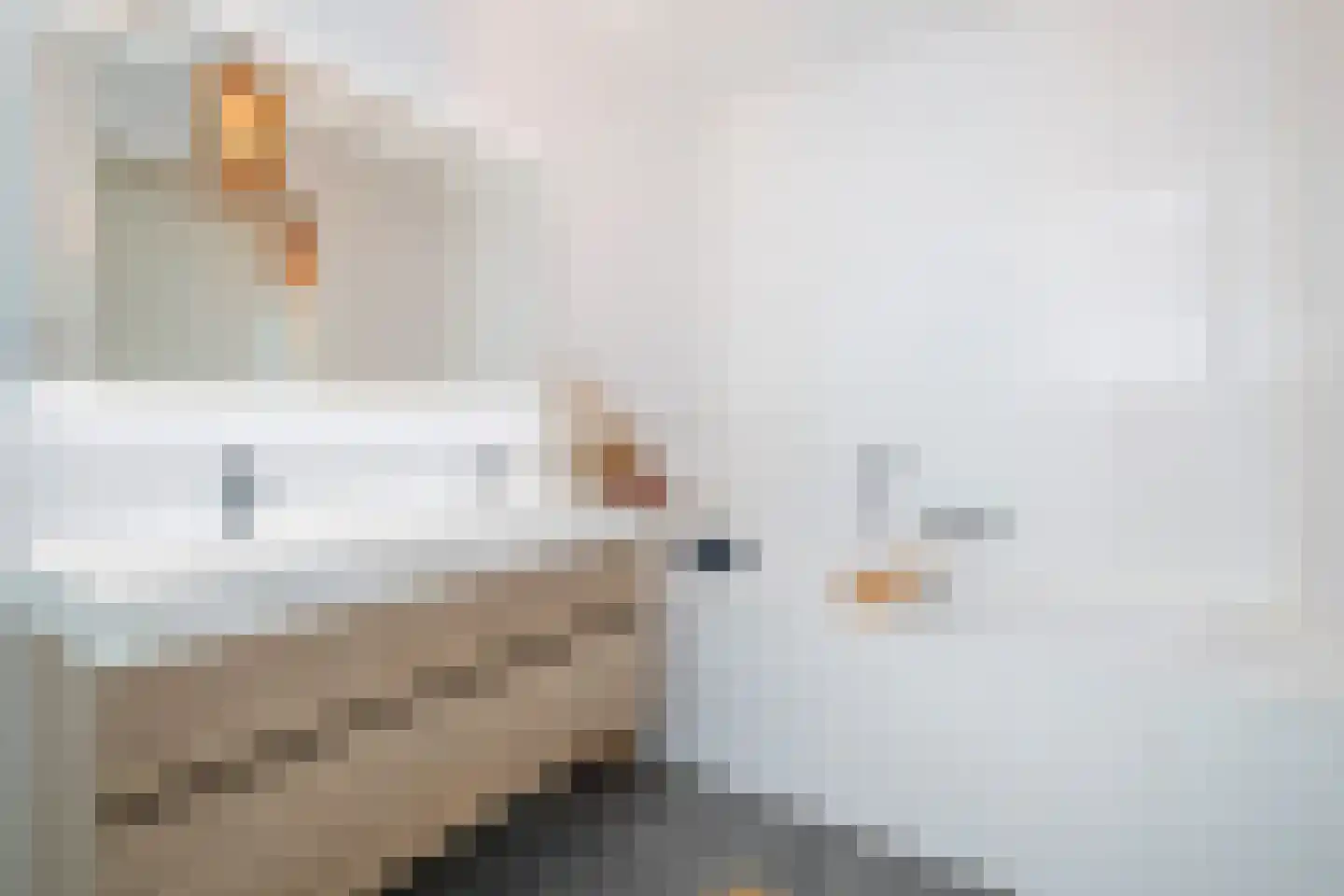 Drierivierenlaan 409 Ridderkerk thumbnail 18