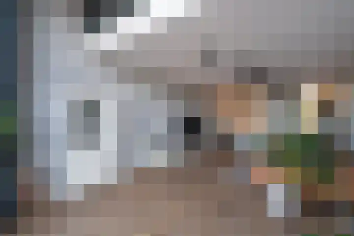 Drierivierenlaan 43 Ridderkerk thumbnail 11