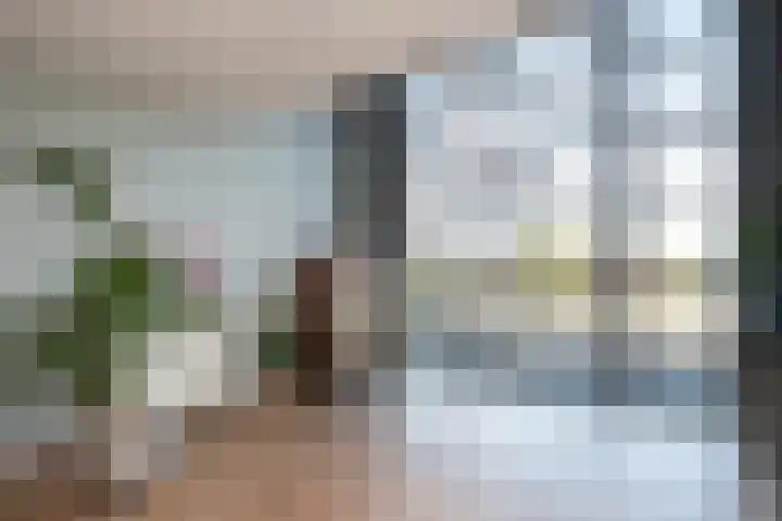 Drierivierenlaan 43 Ridderkerk thumbnail 12
