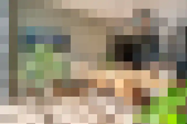 Drierivierenlaan 43 Ridderkerk thumbnail 15