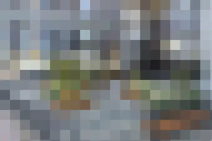 Drierivierenlaan 43 Ridderkerk thumbnail 21