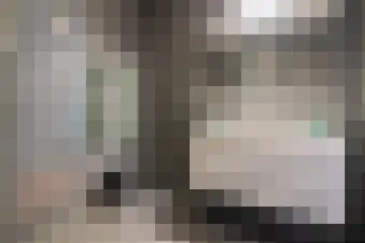 Drierivierenlaan 43 Ridderkerk thumbnail 23