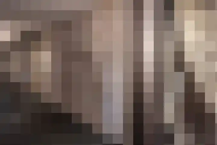 Drierivierenlaan 43 Ridderkerk thumbnail 31