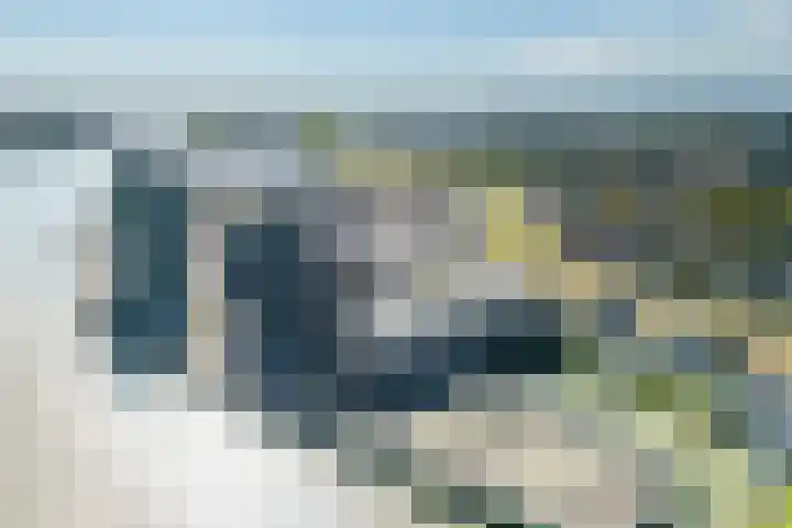 Drierivierenlaan 43 Ridderkerk thumbnail 39