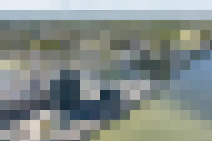 Drierivierenlaan 43 Ridderkerk thumbnail 40