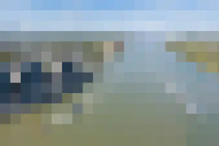 Drierivierenlaan 43 Ridderkerk thumbnail 41