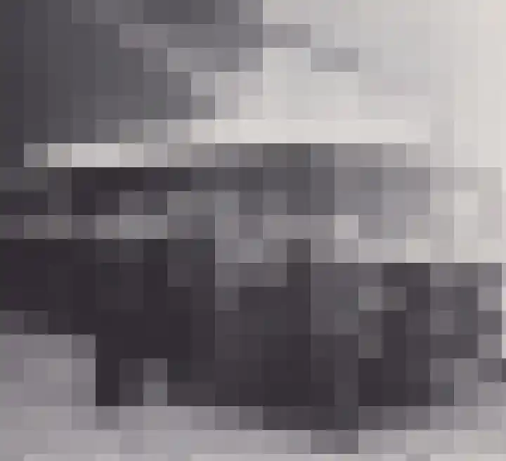 Drierivierenlaan 43 Ridderkerk thumbnail 44