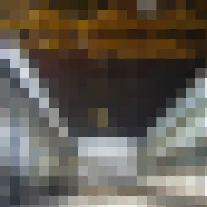 Drierivierenlaan 43 Ridderkerk thumbnail 45