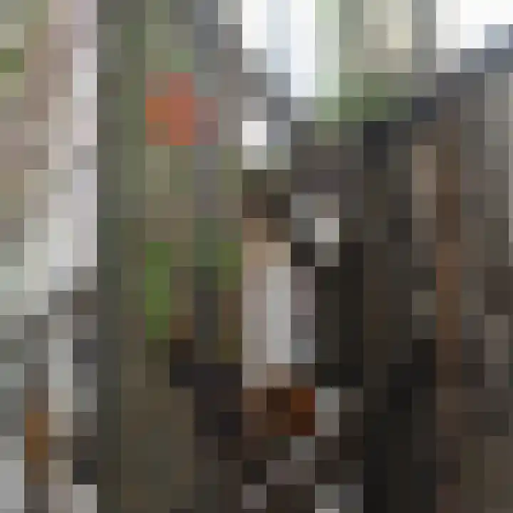 Drierivierenlaan 43 Ridderkerk thumbnail 47