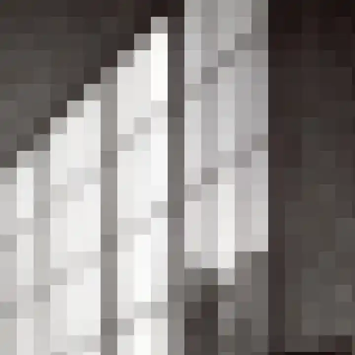 Drierivierenlaan 43 Ridderkerk thumbnail 48