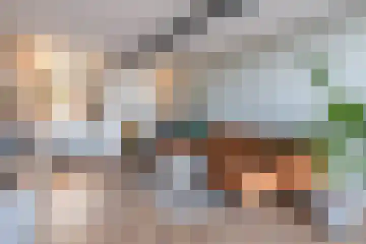 Drierivierenlaan 43 Ridderkerk thumbnail 8