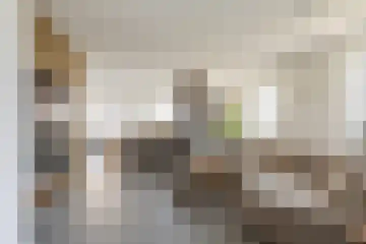 Drierivierenlaan 465 Ridderkerk thumbnail 11