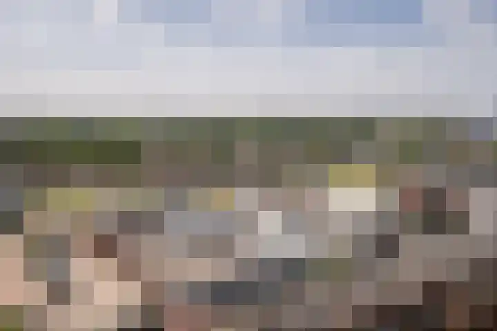 Drierivierenlaan 465 Ridderkerk thumbnail 19