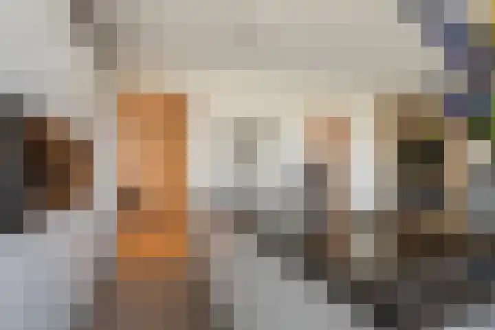 Drierivierenlaan 465 Ridderkerk thumbnail 25