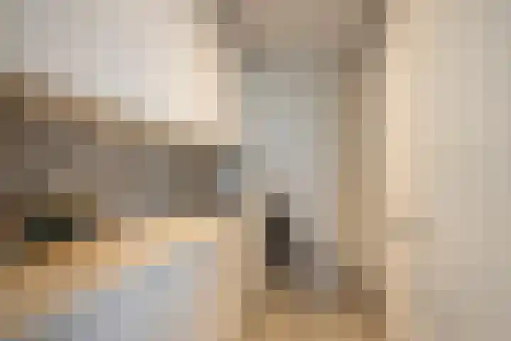 Drierivierenlaan 465 Ridderkerk thumbnail 26