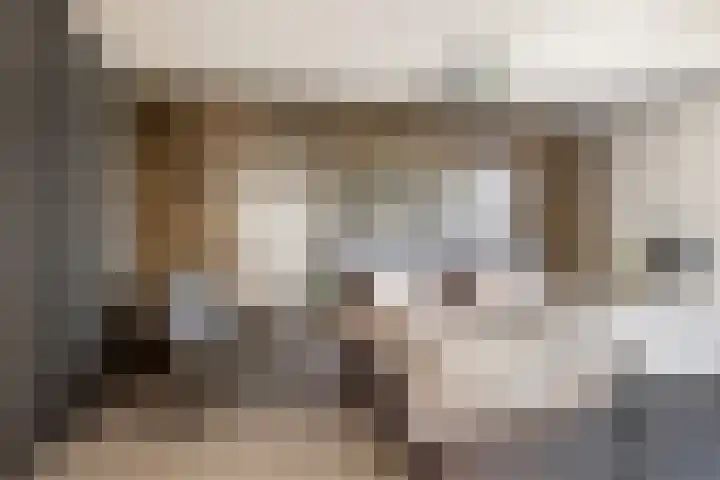Drierivierenlaan 465 Ridderkerk thumbnail 33