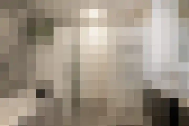 Drierivierenlaan 465 Ridderkerk thumbnail 38