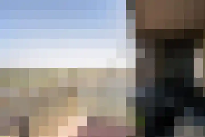 Drierivierenlaan 465 Ridderkerk thumbnail 4