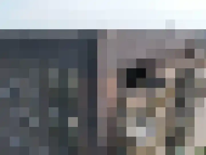 Drierivierenlaan 465 Ridderkerk thumbnail 41