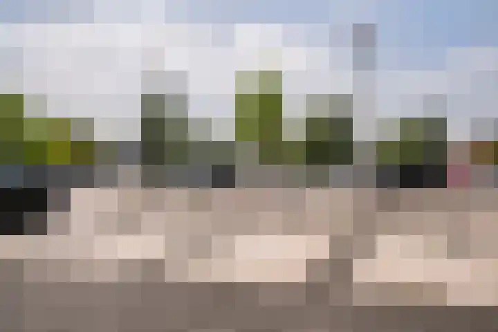 Drierivierenlaan 465 Ridderkerk thumbnail 6