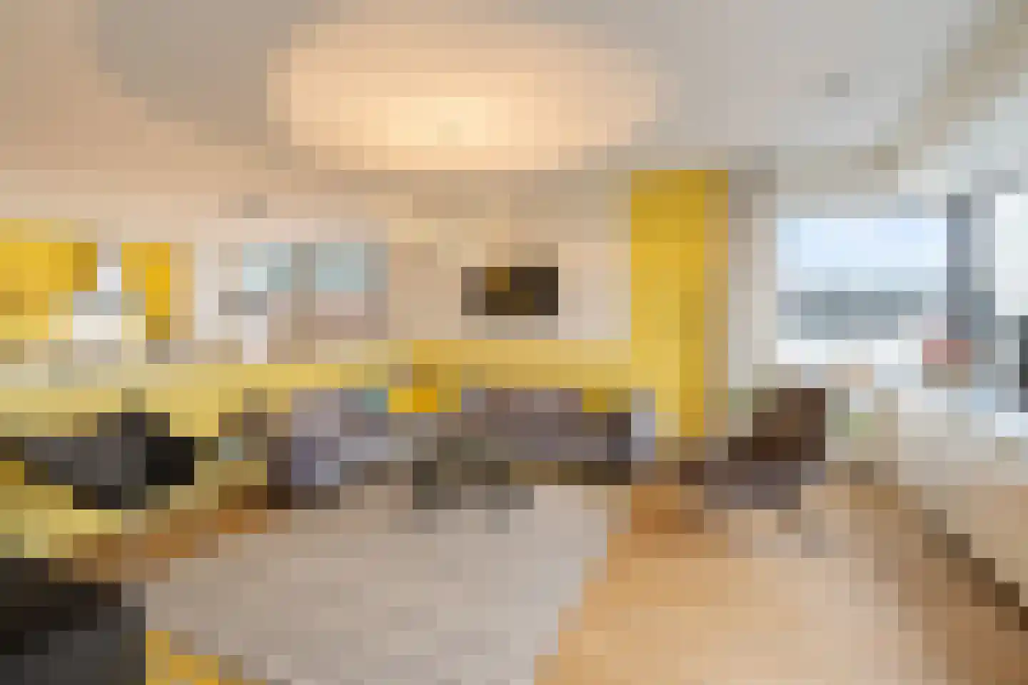 Drierivierenlaan 57 Ridderkerk thumbnail 13