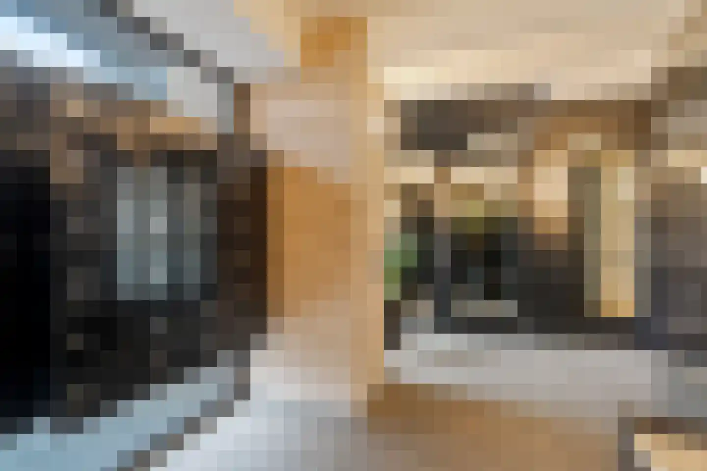 Drierivierenlaan 57 Ridderkerk thumbnail 30