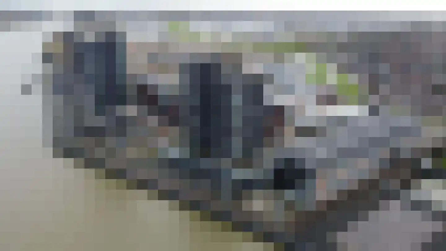 Drierivierenlaan 57 Ridderkerk thumbnail 5