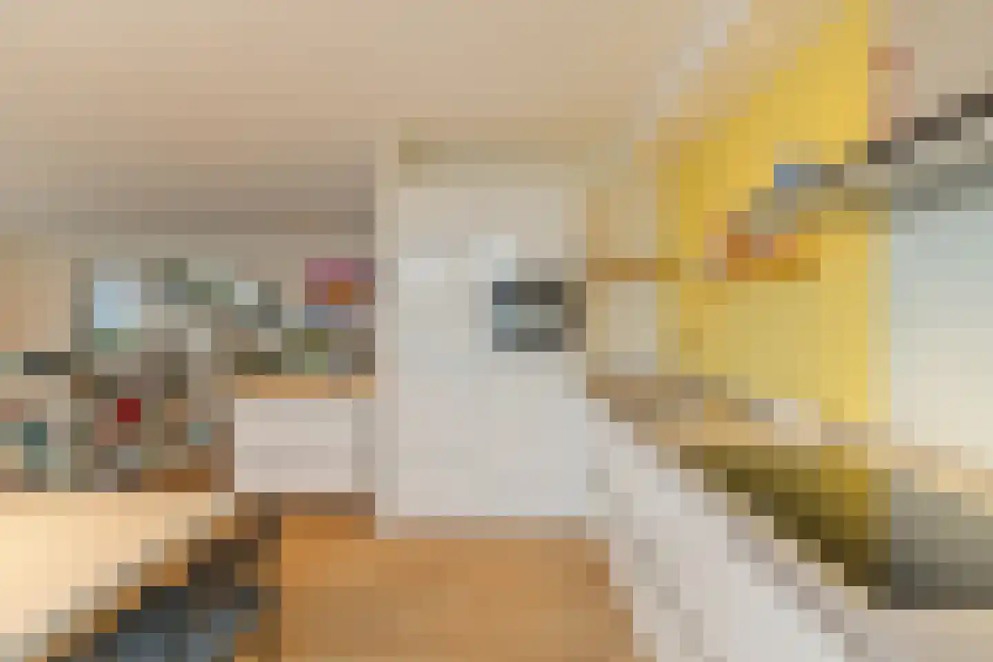 Drierivierenlaan 57 Ridderkerk thumbnail 9