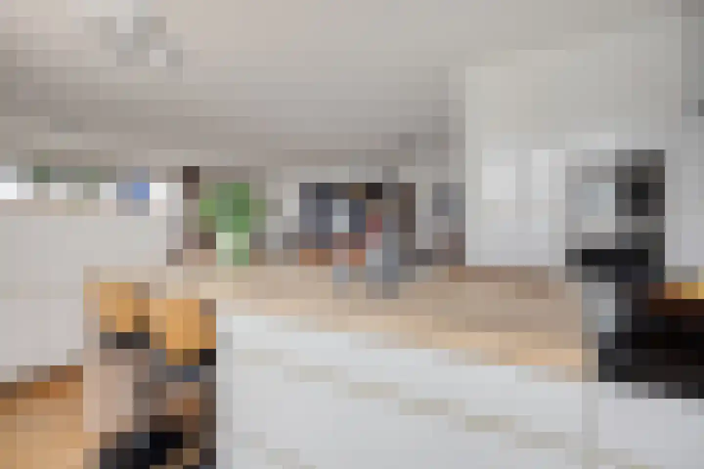 Drierivierenlaan 93 Ridderkerk thumbnail 20