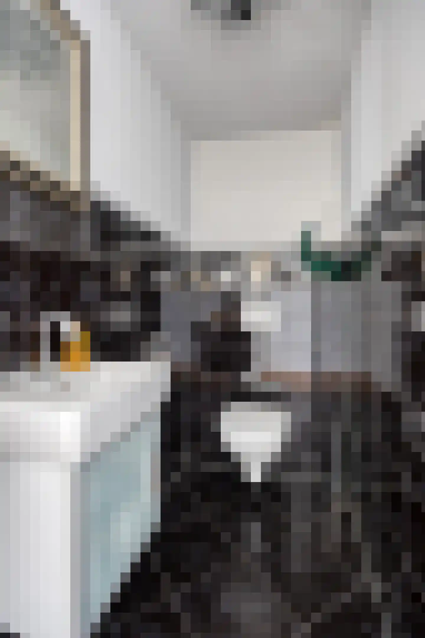 Drierivierenlaan 93 Ridderkerk thumbnail 31
